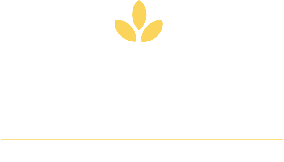 logo epifyt drone solutions
